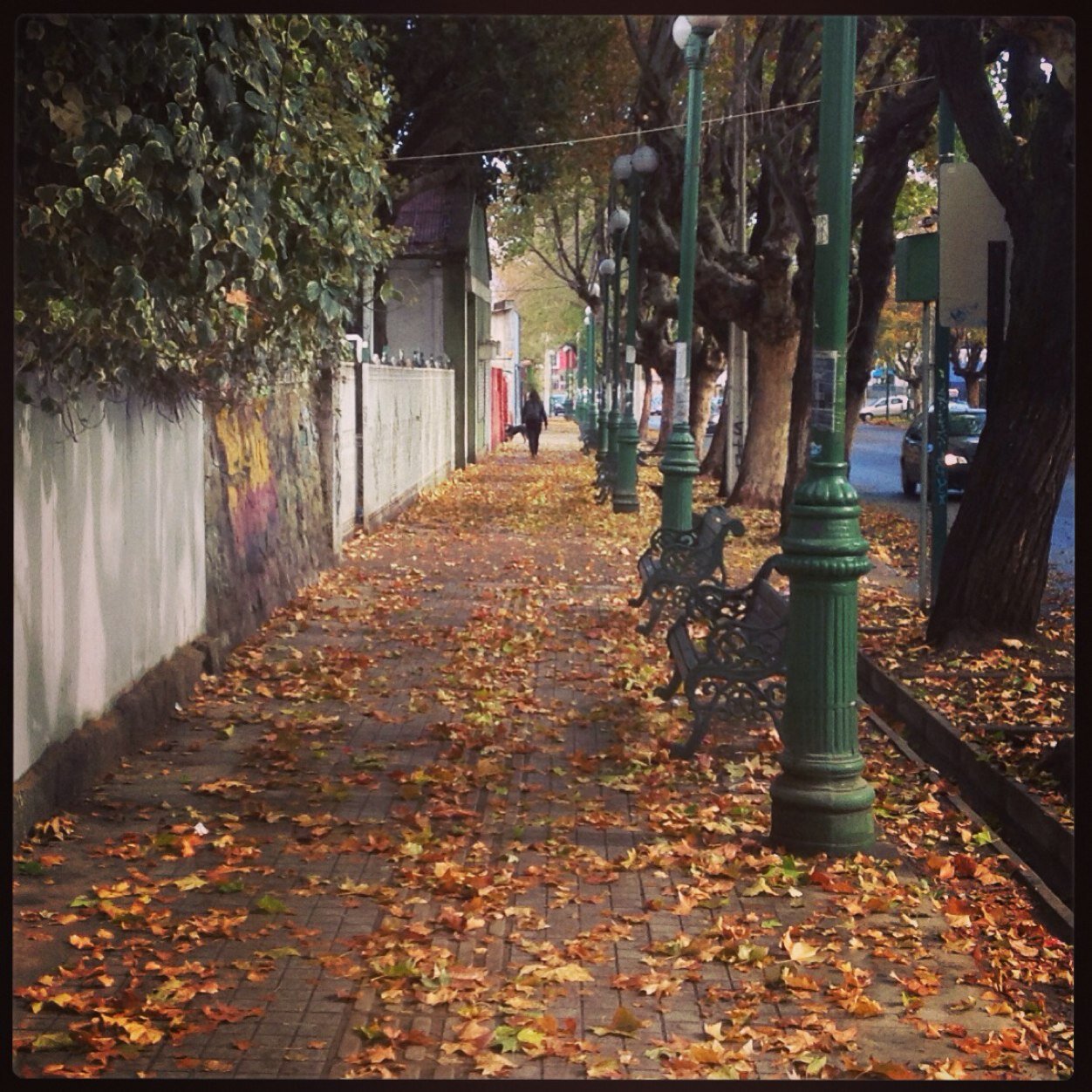 Nicknov7's profile picture. 