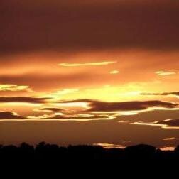 FilosofiaDiceES's profile picture. 