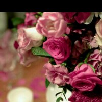 ••° أميرة_الورد °•• (@ameeirat_alward) 's Twitter Profile