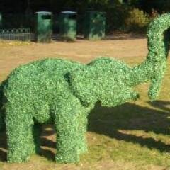 Elgar_Elephant Profile Picture