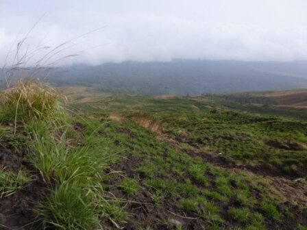 00_tour's profile picture. Community Based Organization; Sustainable Community Livelihood, Sustainable Ecotourism and  Saving Ecosystem