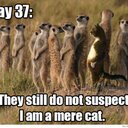 Bruce Heard - @bruceh88 - Twitter