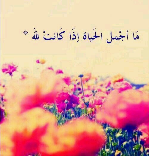 كن مع الله وﻻ تبالي