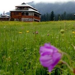 Naeem921's profile picture. 