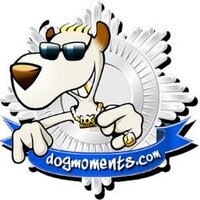 Sven Bittner (@dogmomentsshop) Twitter profile photo