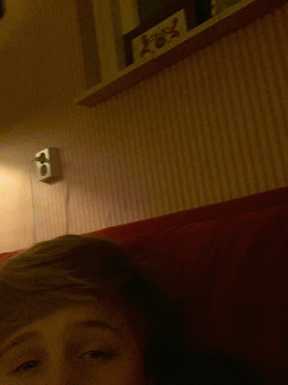 #yolo