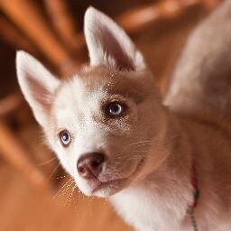 Brightening Your Daily Life With a Dose of Cute Animal Pictures! Feel free to send us cute pictures of your pets.