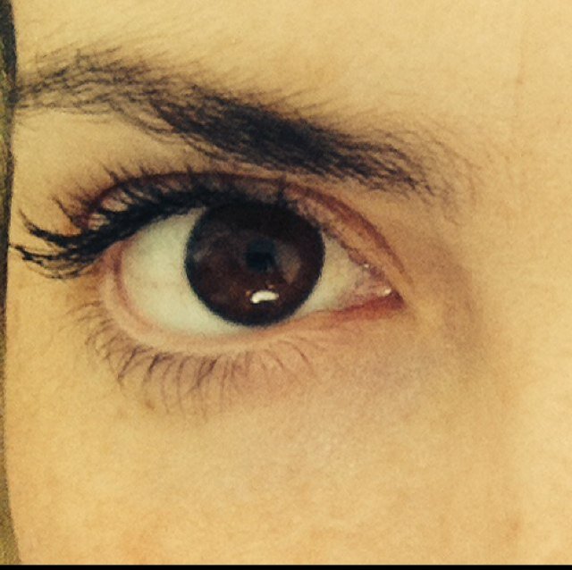 Marqueledicen's profile picture. un poco desto, un poco de lotro