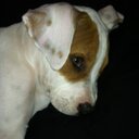 shawna joyce - @ruthie_shaw - Twitter