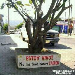 Hablo de todo (de todo dije) se reir,cantar,opinar,juzgar