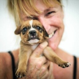 We are an animal rescue group on the island of Isla Mujeres, Mexico. We promote spay and neuter clinics, education, and adoption programs.