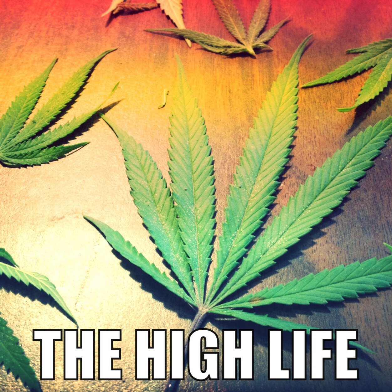 420dailystoner's profile picture. We're just two broke college girls that love to smoke weed. #OurLifestyle #StonerLove #GanjaGirls #420 #StayHigh