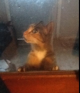 kali_shine's profile picture. 