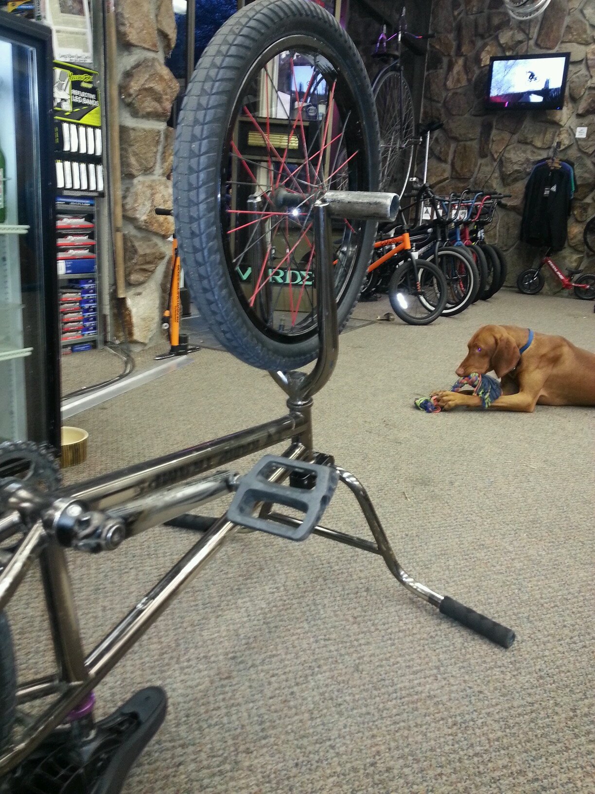 bbrandon666's profile picture. fuck everyone.