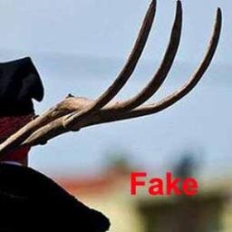 Mov9dicembre's profile picture. Per un Italia migliore senza la Casta che opprime il popolo Italiano. Politici Vergona!!! Andate a casa!!!