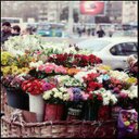 لَيّآنٌ آلَأسًسـمِري (@05Lian) Twitter