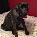 Shelly Eliason - @ShellyEliason - Twitter