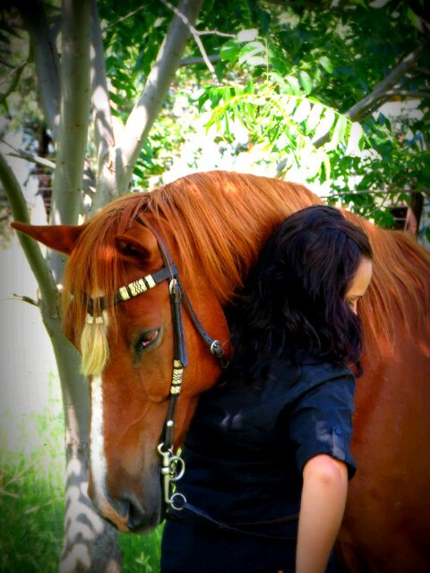 Loves horses..sense of humor..love my friends.. In love with animals