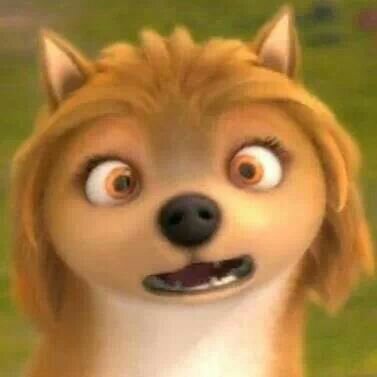 katecollignon's profile picture. Mmm..well idk what 2' say about me.. :P so..better follow me and lets talk ;)