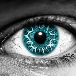 Calamaroc's profile picture. 