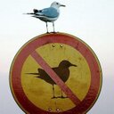 Gene Doss - @GeneD63 - Twitter