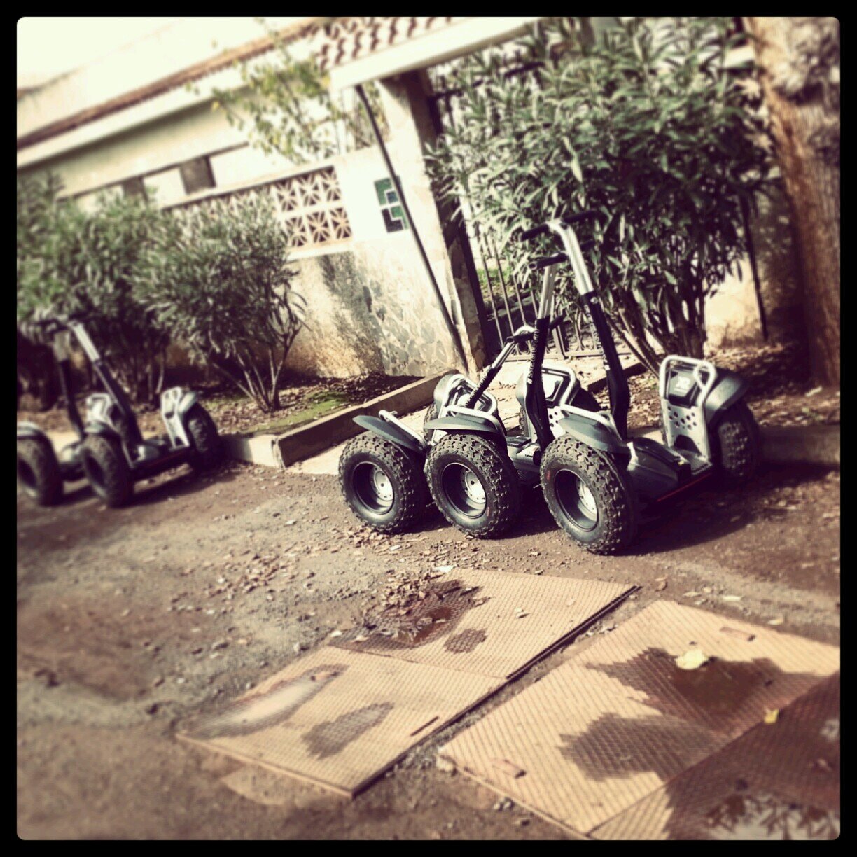 tours diferentes , natura segway