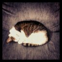 Katherine Lappe - @KatieLappe9 - Twitter