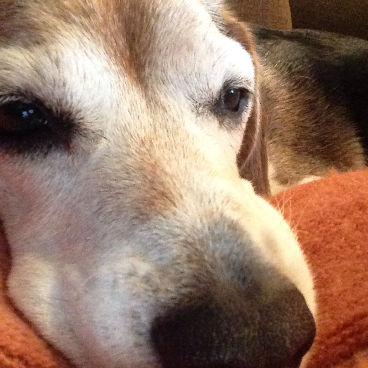 Ejkristek's profile picture. 