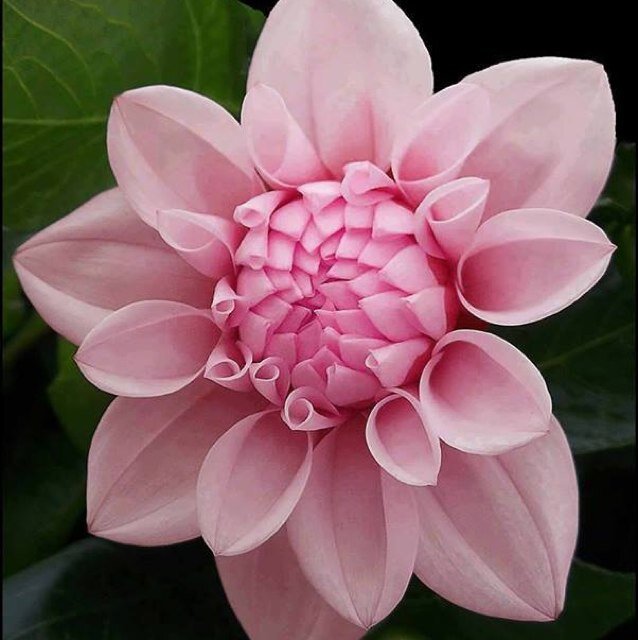 Emmme1988's profile picture. استغفر الله العظيم و اتوب إليه ، الحمد لله الذي عافنا مما ابتلى فيه كثيراً من خلقه و فضلاً عليهم تفضيلاً