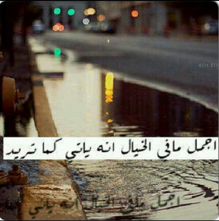 ‏لا اَحب اَلفقدان فَ يَا مَن احِبهم لآتَكسِروآ قَلبيّ بِ غِيابِكم ذاتّ يَوم اِكتَفيت بِ غِيآب شَخص يَعنيّ لِيّ الكَثير..♡