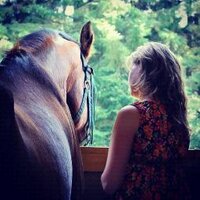 Laura Moxley (@auralamox) 's Twitter Profile
