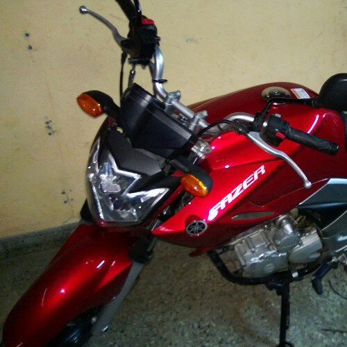 dami_bigote's profile picture. 