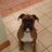 DunnyReilly's profile image