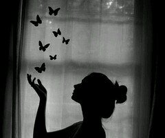 laurasilveirare's profile picture. 