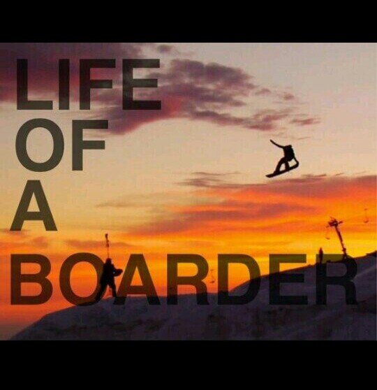 Snowboard. Skateboard. Longboard. Surfboard. ~Follow @drugdome ~