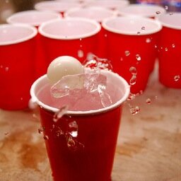 OneLifeDormLife's profile picture. the struggle is real. #SSU