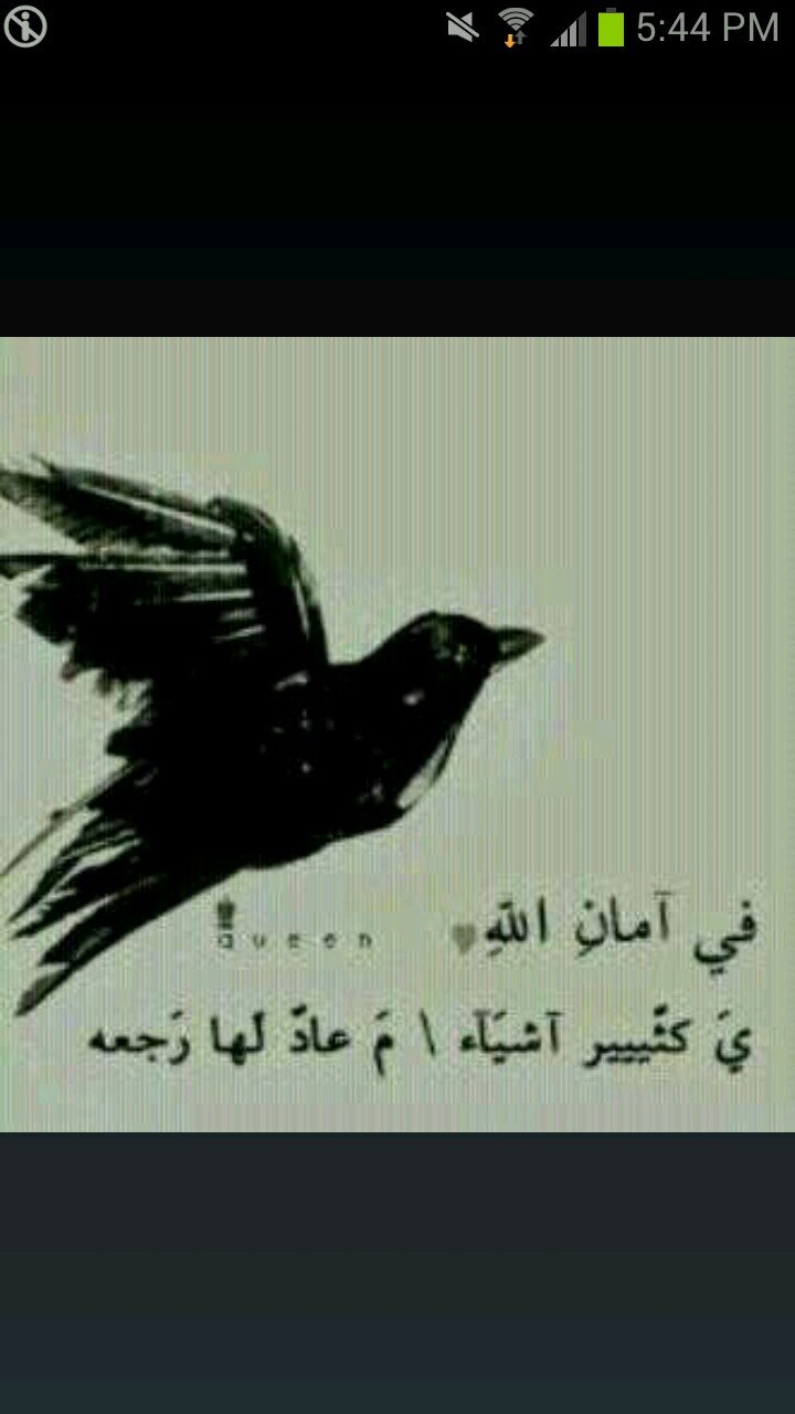 صمتي يختصر الحياه ..♥