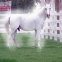 Kelly ann Kimball - @Lenny_and_Kelly - Twitter