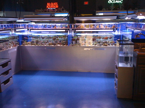 Fish & Aquarium Retail. Exclusively Salt Water. Family owned & operated.