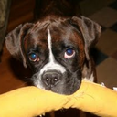 Will Cronin - @willcronin - Twitter