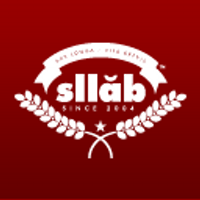 Scott Lindberg (@sllabstudios) 's Twitter Profile