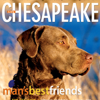Chesapeake Life Magazine offers the Best of the Bay.