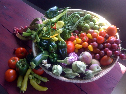 christinaalbo's profile picture. 