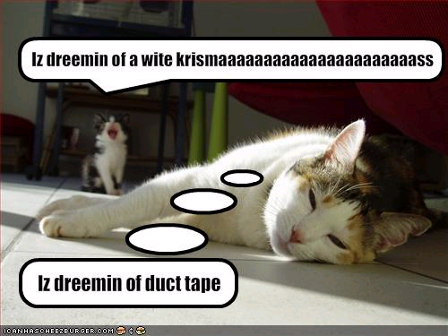 lolli222's profile picture. 