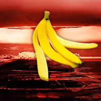 bananageddon's profile picture. Don't slip