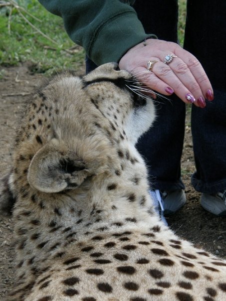 NoreenKinsler's profile picture. 