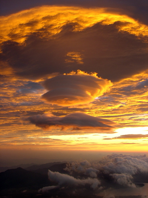 windicefire's profile picture. 