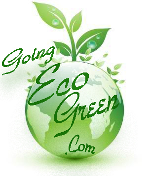 Going Eco Green is a real-life experiment in sustainable living. We love the idea of “going green” in this hectic, stressed world.