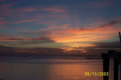 kimdiz's profile picture. 