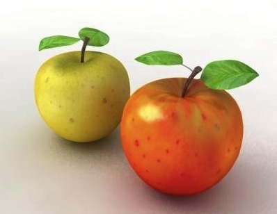 PickBestApples's profile picture. Pick the best apples daily in Sept. and Oct. in Rhinebeck at Cedar Heights Orchard.